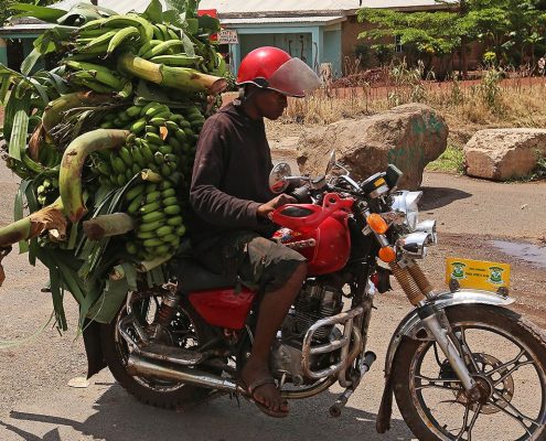 Ein Motorradfahrer transportiert grüne Kochbananen in Mto Wa Mbu - Sie haben die Möglichkeit, die lokale Kultur und das Dorfleben auf Ihrer 10 Tage Tansania Rundreise genauer kennenlernen