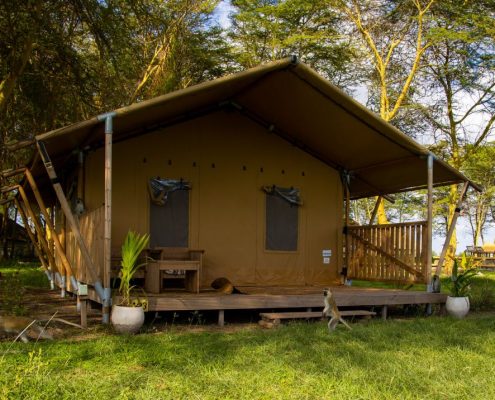 Während Ihrer 5 Tage Safari Reise Tansania übernachten Sie in komfortablen, voll ausgestatteten Zelten mit eigenem Bad. Dieses Bild stammt von der Africa Safari Lake Manyara Lodge.