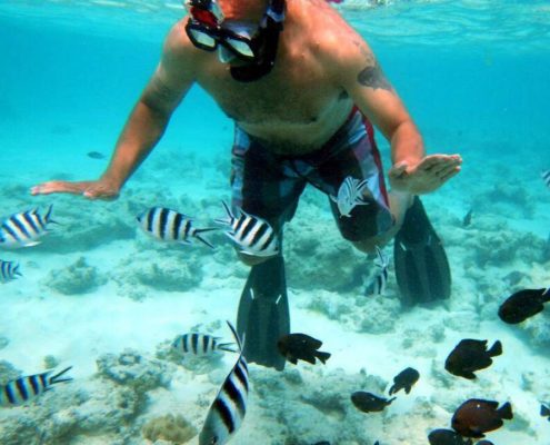 Erkunden Sie die fantastische Unterwasserwelt mit unseren Sansibar Badeurlaub Paket