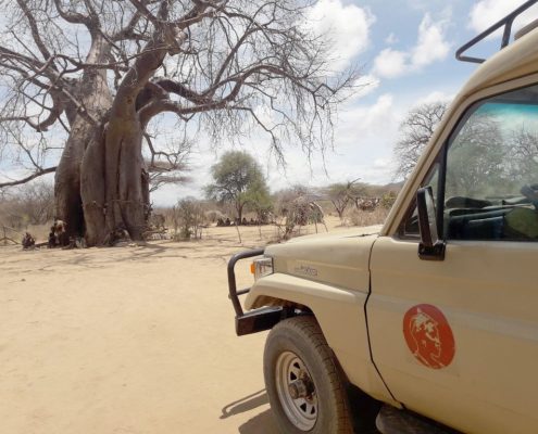 Ein Shemeji Safari Allradauto und ein uralter Baobab Baum an der Grenze zum Tarangire Nationalpark