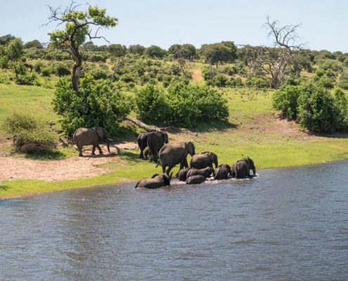 Eine Elefantenfamilie genießt das erfrischende Wasser des Tarangire Flusses