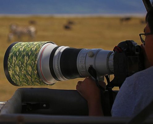 Auf Ihrer 8 Tage Tansania Serengeti Reise können Sie das Dach Ihres Safari Trucks ausfahren, um großartige Ausblicke und besondere Fotos von den wilden Tieren zu erhalten