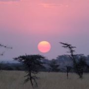 Ikoma Safari Area Vorschaubild