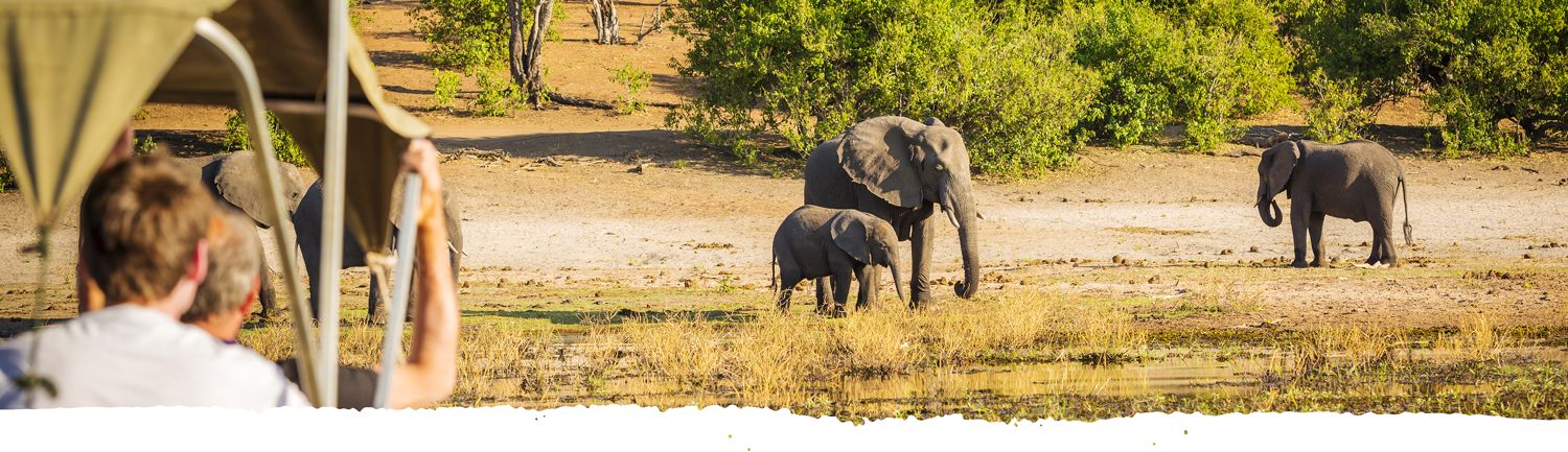 Safari Gäste auf Pirschfahrt beobachten Elefanten in Tansania