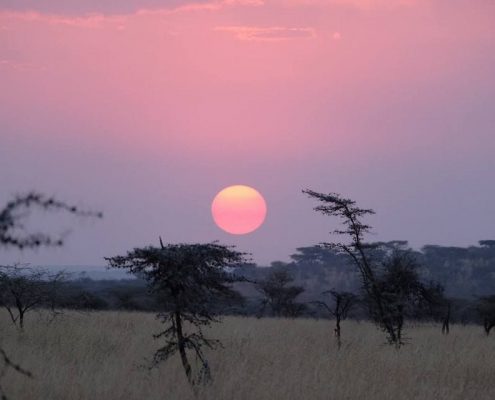 Sonnenuntergang in der Ikoma Wildlife Management Area