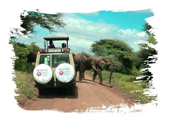 Erleben Sie einen traumhaften Tansania Urlaub mit Shemeji Safari - Karibu Tanzania (Willkommen in Tansania)