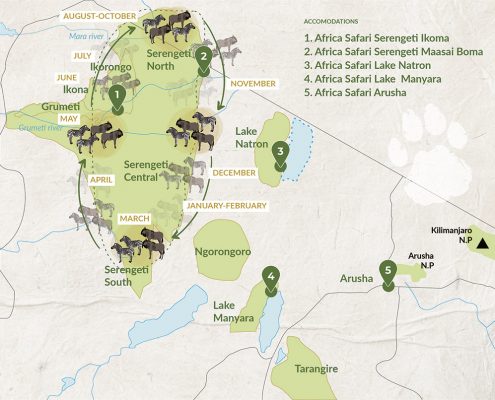 Ein Überblick über die nördlichen Safari Parks in Tansania mit Africa Safari Camps & Unterkünften
