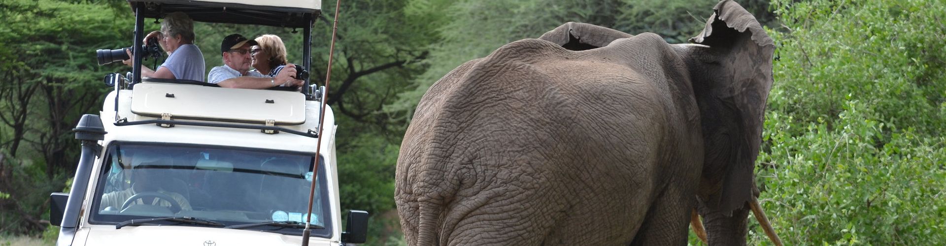 Ein Elefant in der Nähe eines Toyota Landcruiser im Tarangire Safari Park
